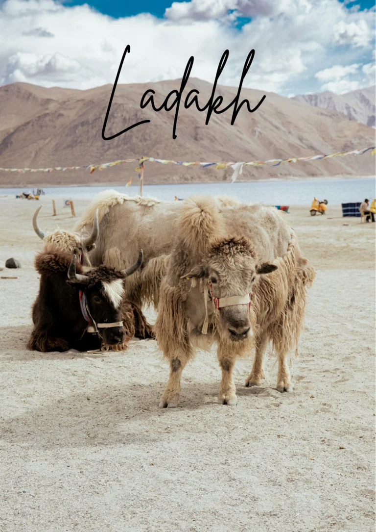 ladakh